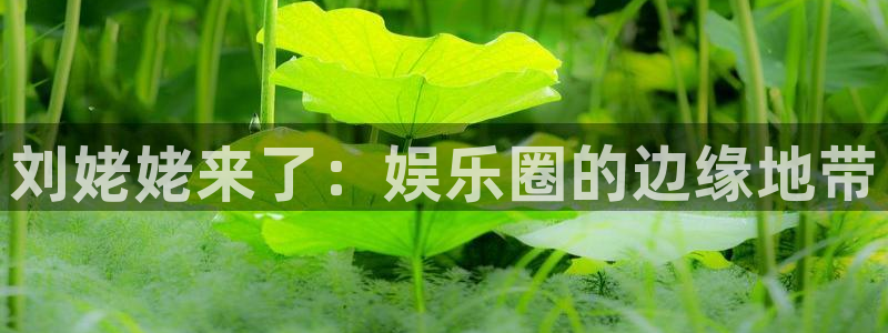 安信12登录入口最新版本更新内容：刘姥姥来了：娱乐圈的边缘地带