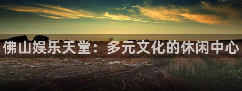 安信12平台登录注册：佛山娱乐天堂：多元文化的休闲中心